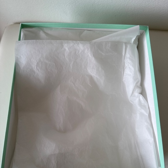 Aquazurra Shoe Box with Tissue Paper - Picture 2 of 13